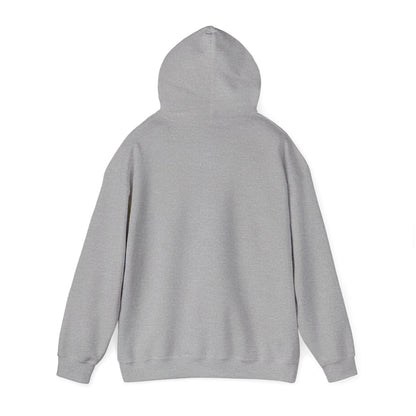 Alberta Hex Logo Hoodie — Vintage Mountain Crest Sweatshirt