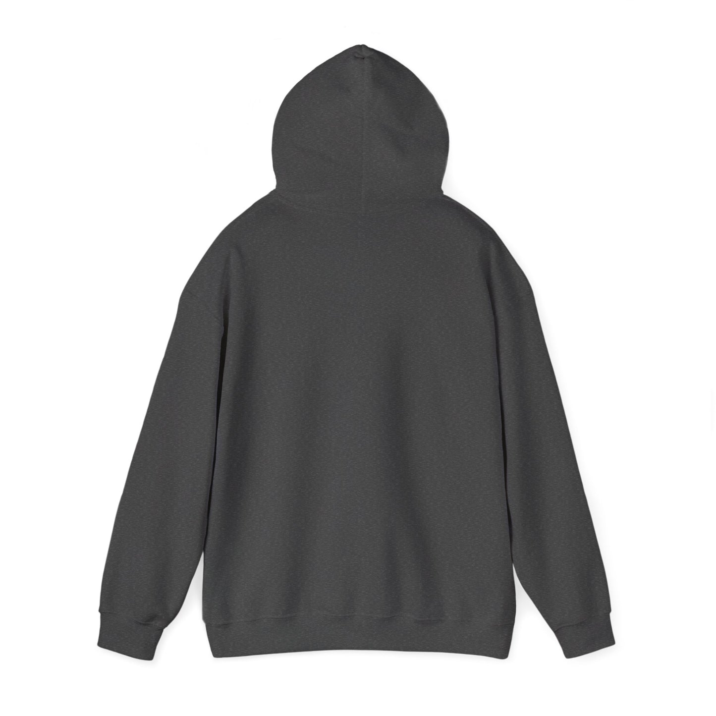 Alberta Hex Logo Hoodie — Vintage Mountain Crest Sweatshirt