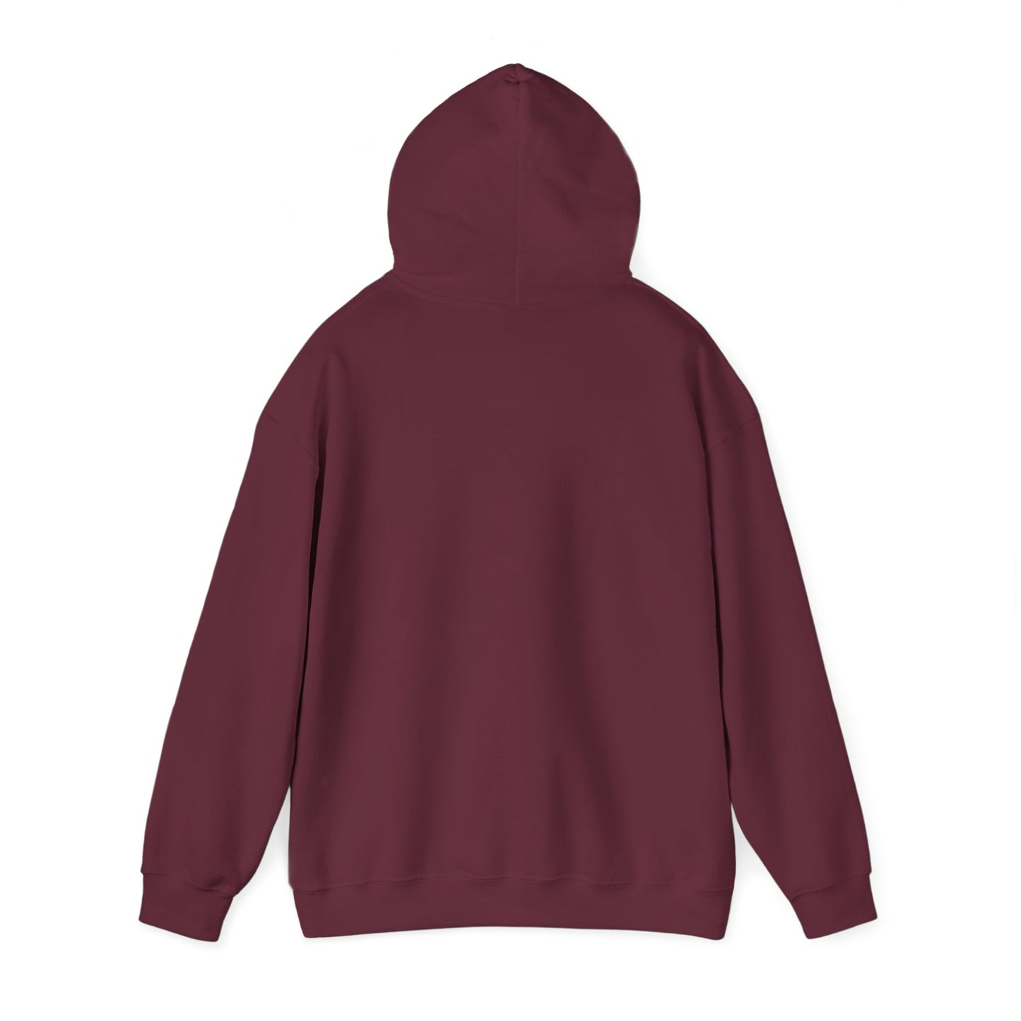 Alberta Hex Logo Hoodie — Vintage Mountain Crest Sweatshirt