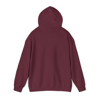 Alberta Hex Logo Hoodie — Vintage Mountain Crest Sweatshirt