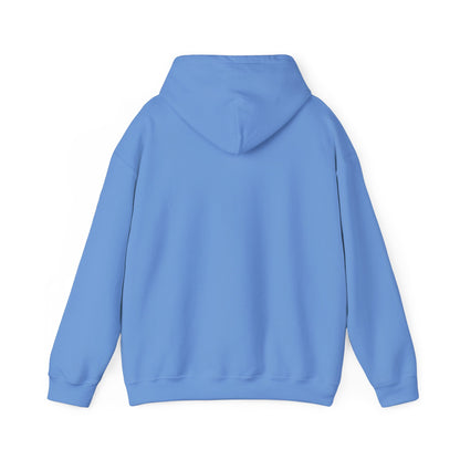 Alberta Hex Logo Hoodie — Vintage Mountain Crest Sweatshirt