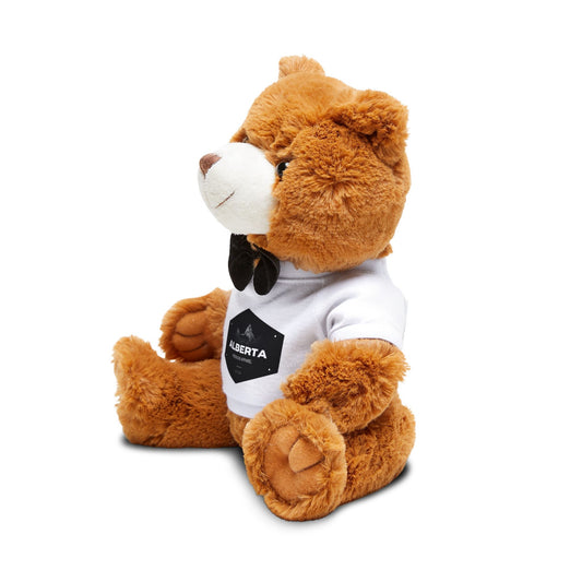 APA Plush - Cute Brown Teddy with Custom T‑Shirt & Bow