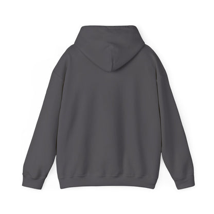 Alberta Hex Logo Hoodie — Vintage Mountain Crest Sweatshirt