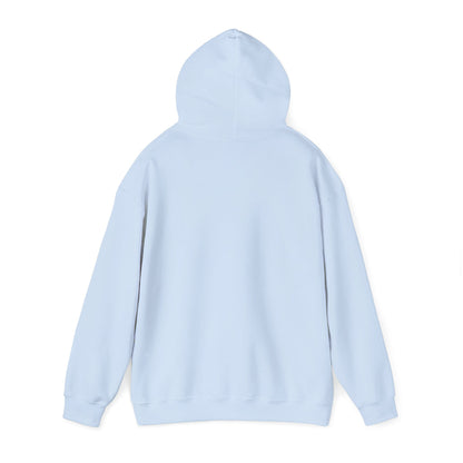 Alberta Hex Logo Hoodie — Vintage Mountain Crest Sweatshirt