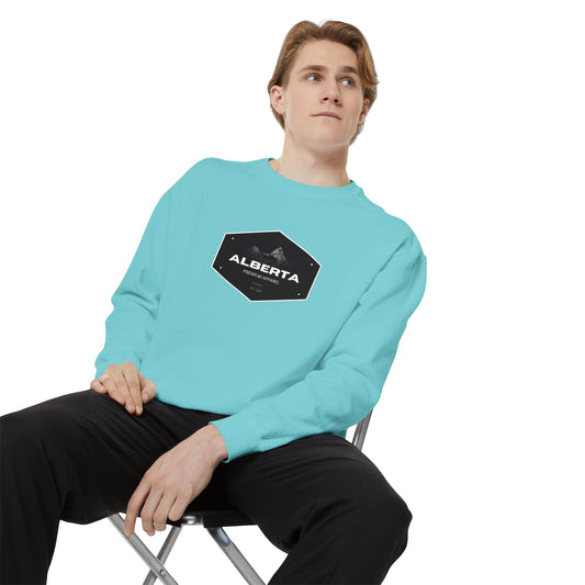 APA Vintage Hex Logo Sweatshirt